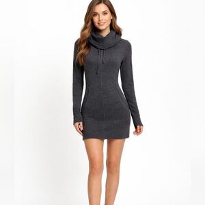 Dakini Gray Cowl Neck Sweater Dress Size XS